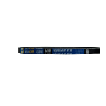 montakhab-tara-dynamo-belt-back-view