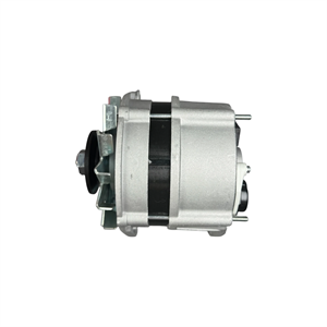 ketsumi-paykan-arisun-alternator-side-profile
