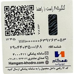 برچسب گلگیر جلو راست پژو 405 همگام